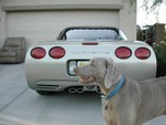 2002 Corvette Coupe For Sale